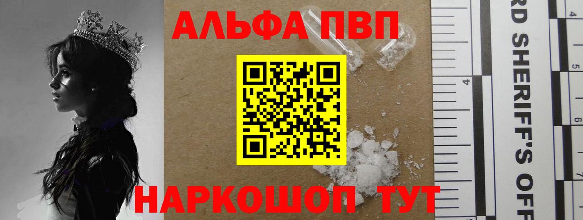 A PVP СК КРИС Дубна