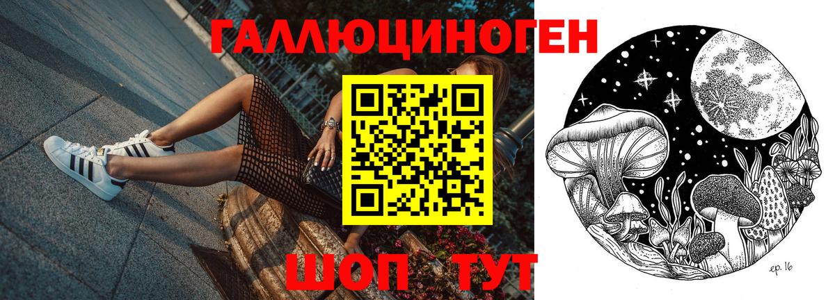 Галлюциногенные грибы прущие грибы  Вход с VPN  Дубна 