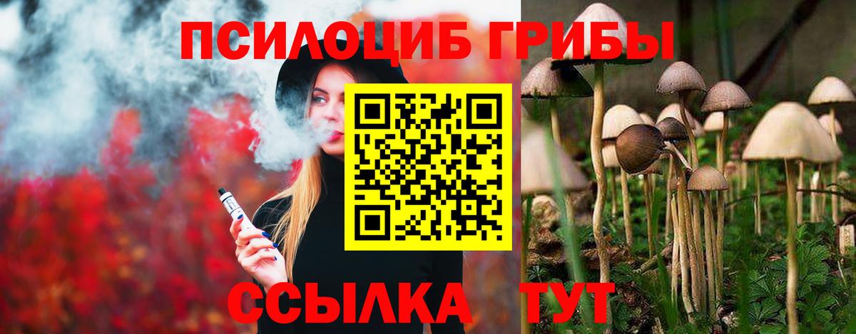 Псилоцибиновые грибы мухоморы Дубна